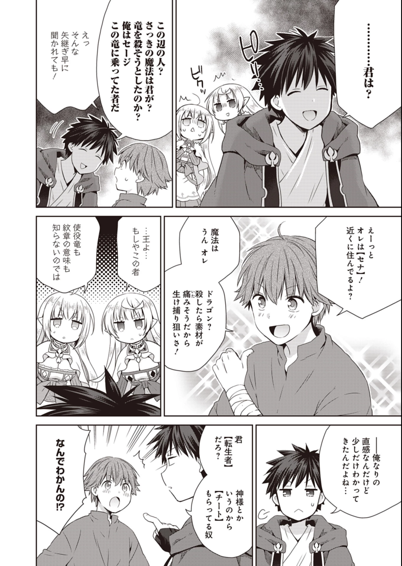 だから勝手に勇者とか覇王に認定すんのやめろよ！～エルフ族も国王様もひれ伏すほど俺は偉大な役割らしい～ 第17.2話 - 4