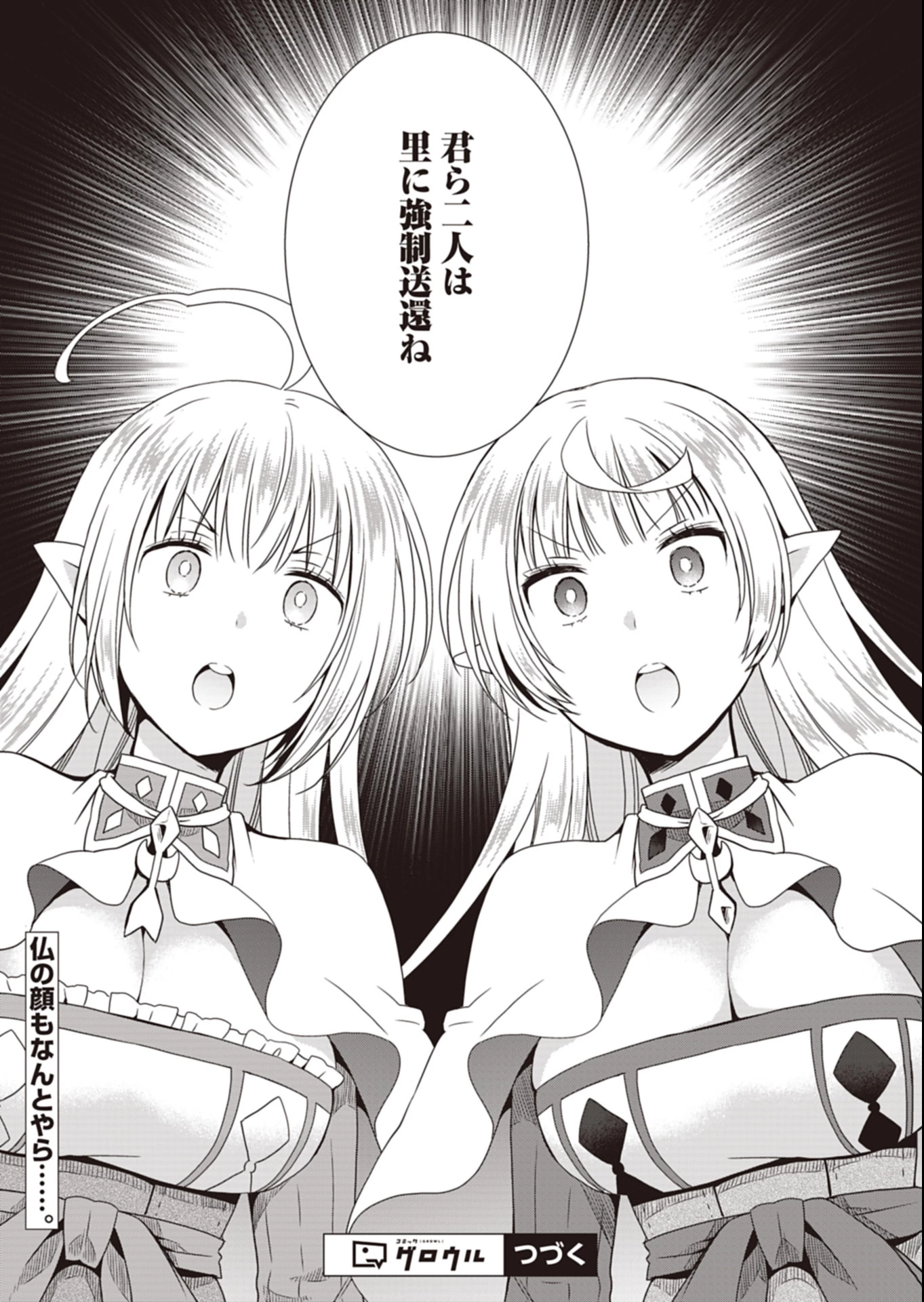 だから勝手に勇者とか覇王に認定すんのやめろよ！～エルフ族も国王様もひれ伏すほど俺は偉大な役割らしい～ 第17.2話 - 17