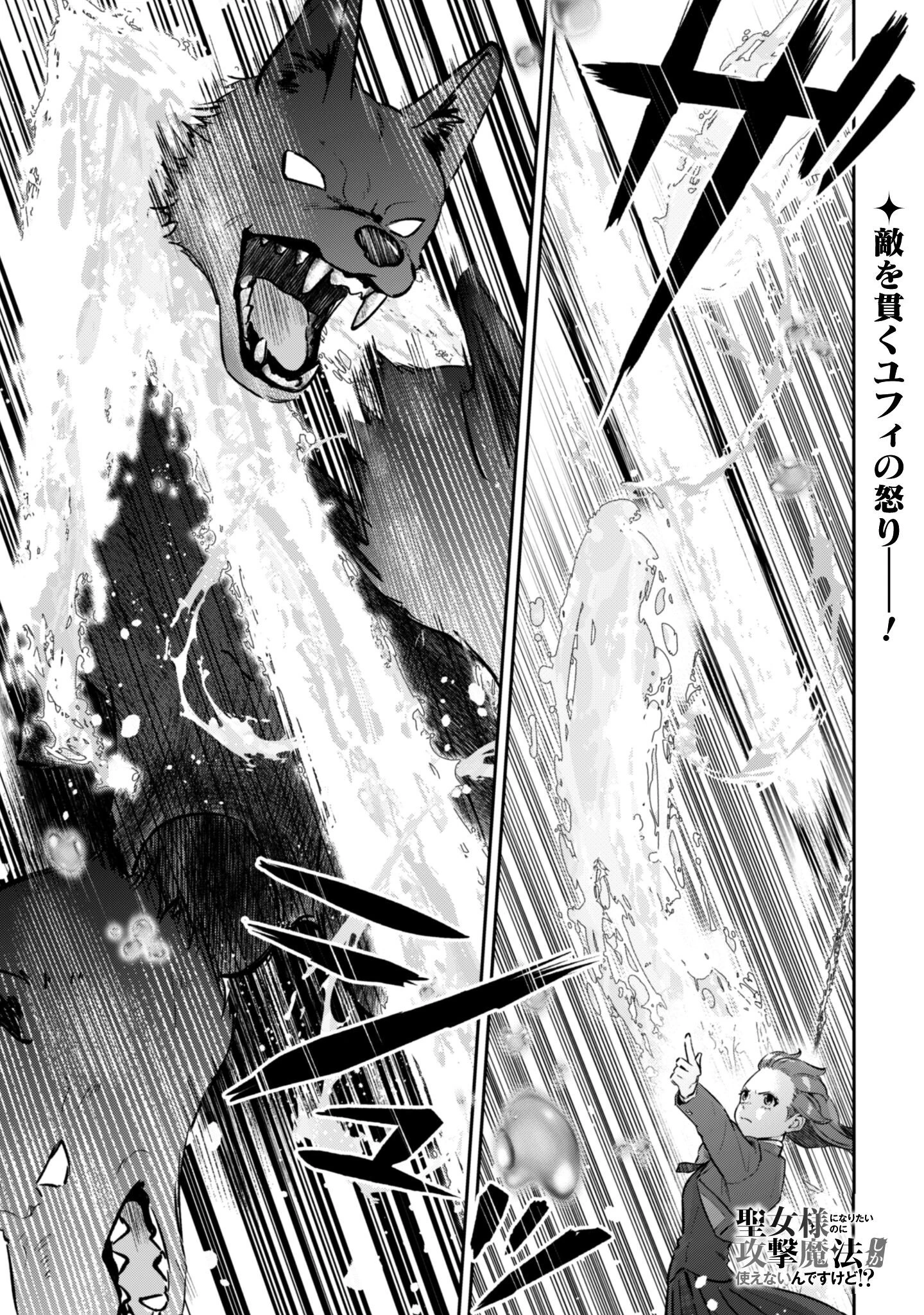 聖女様になりたいのに攻撃魔法しか使えないんですけど！？ 第6話 - 2