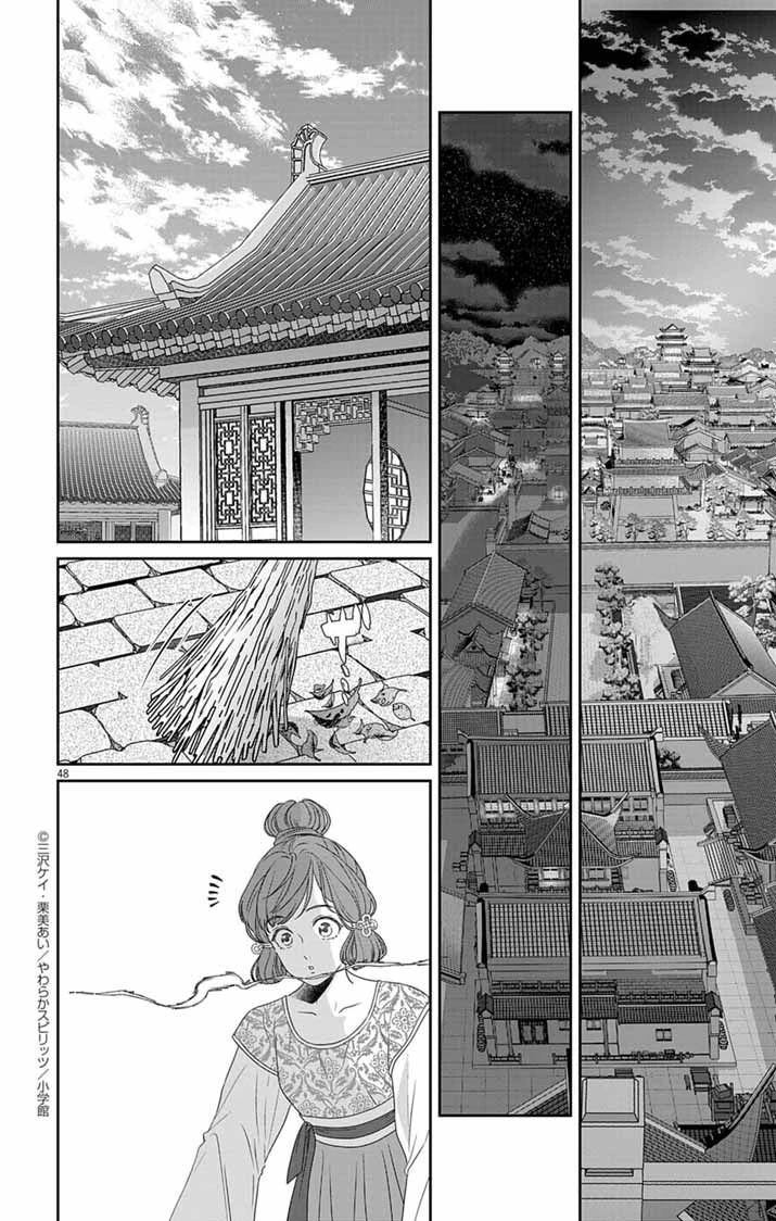 後宮の影公主～呪術師は謎を読む～ 第1話 - 47