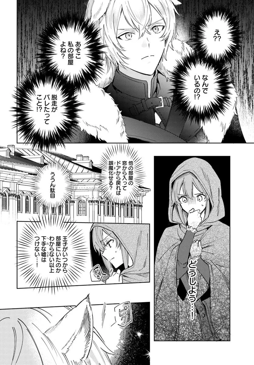 追放聖女は獣人の国で楽しく暮らしています ~自作の薬と美味しいご飯で人質生活も快適です!?~ 第6.2話 - 3