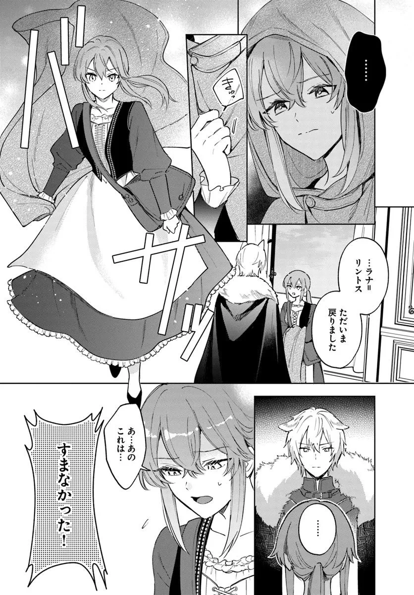 追放聖女は獣人の国で楽しく暮らしています ~自作の薬と美味しいご飯で人質生活も快適です!?~ 第6.2話 - 5