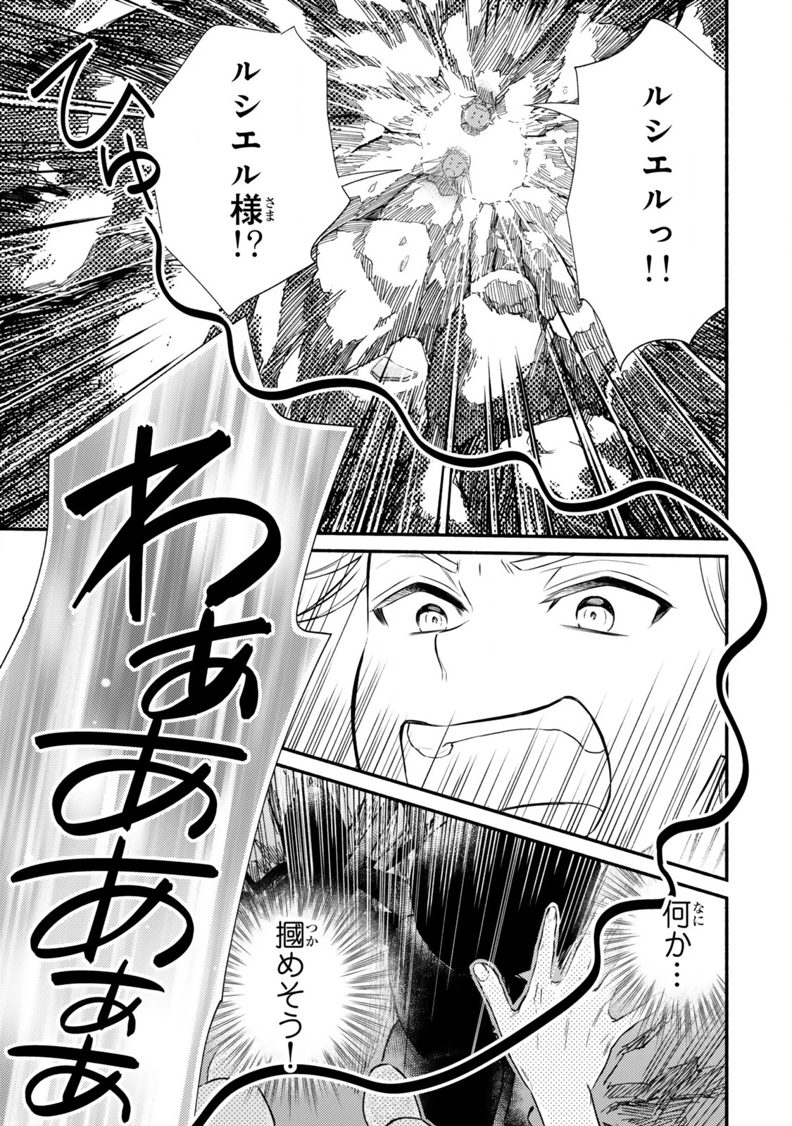 聖者無双 第91.2話 - 3