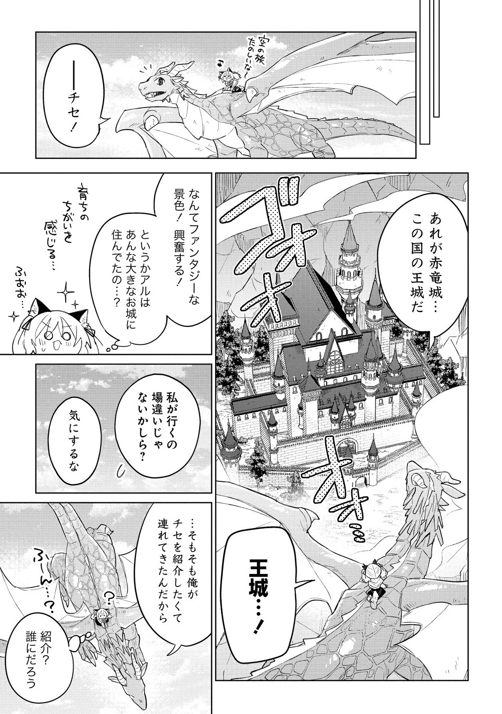 猫耳少女は森でスローライフを送りたい ～もふもふは所望しましたが、聖女とか王子様とかは注文外です～ 第15話 - 1