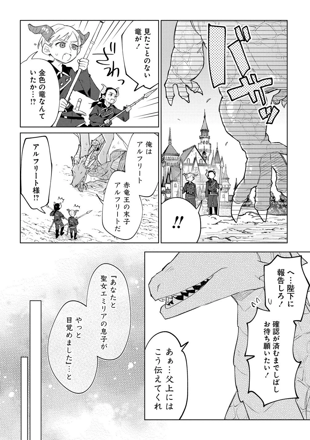 猫耳少女は森でスローライフを送りたい ～もふもふは所望しましたが、聖女とか王子様とかは注文外です～ 第15話 - 2