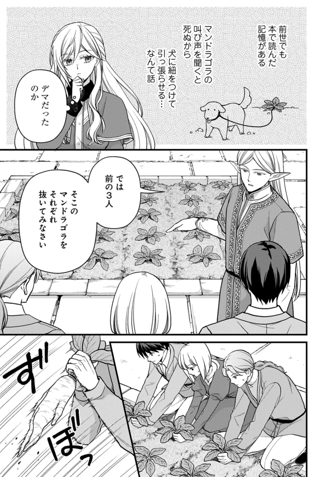 婚約解消のち、お引越し。セイラン・リゼルの気ままで優雅な生活。～才色兼備の転生令嬢は前世チートで自由を満喫します～ 第3.1話 - 7