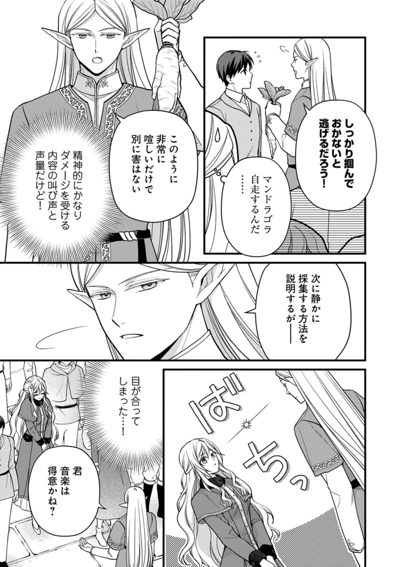 婚約解消のち、お引越し。セイラン・リゼルの気ままで優雅な生活。～才色兼備の転生令嬢は前世チートで自由を満喫します～ 第3.1話 - 9