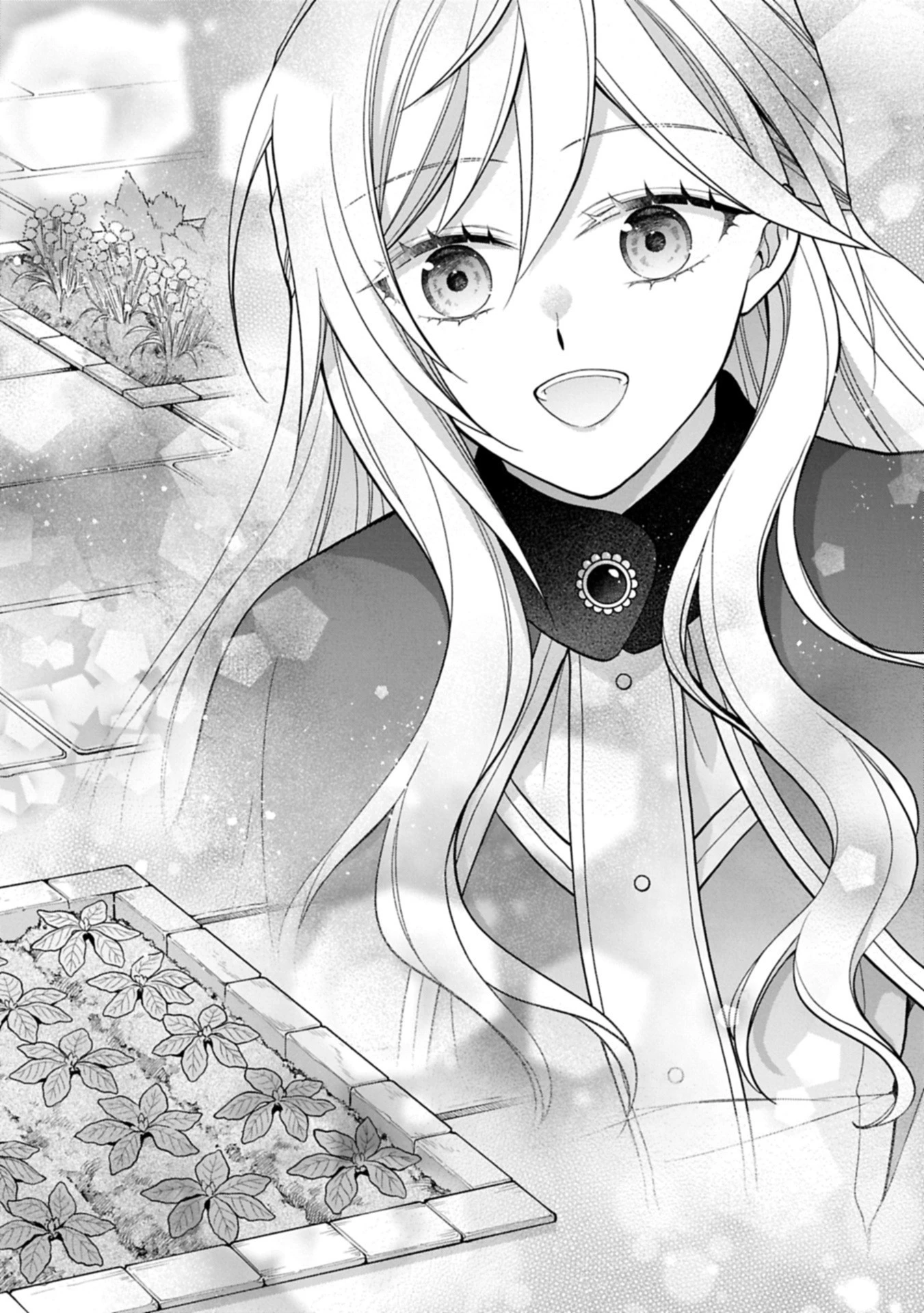 婚約解消のち、お引越し。セイラン・リゼルの気ままで優雅な生活。～才色兼備の転生令嬢は前世チートで自由を満喫します～ 第3.1話 - 12