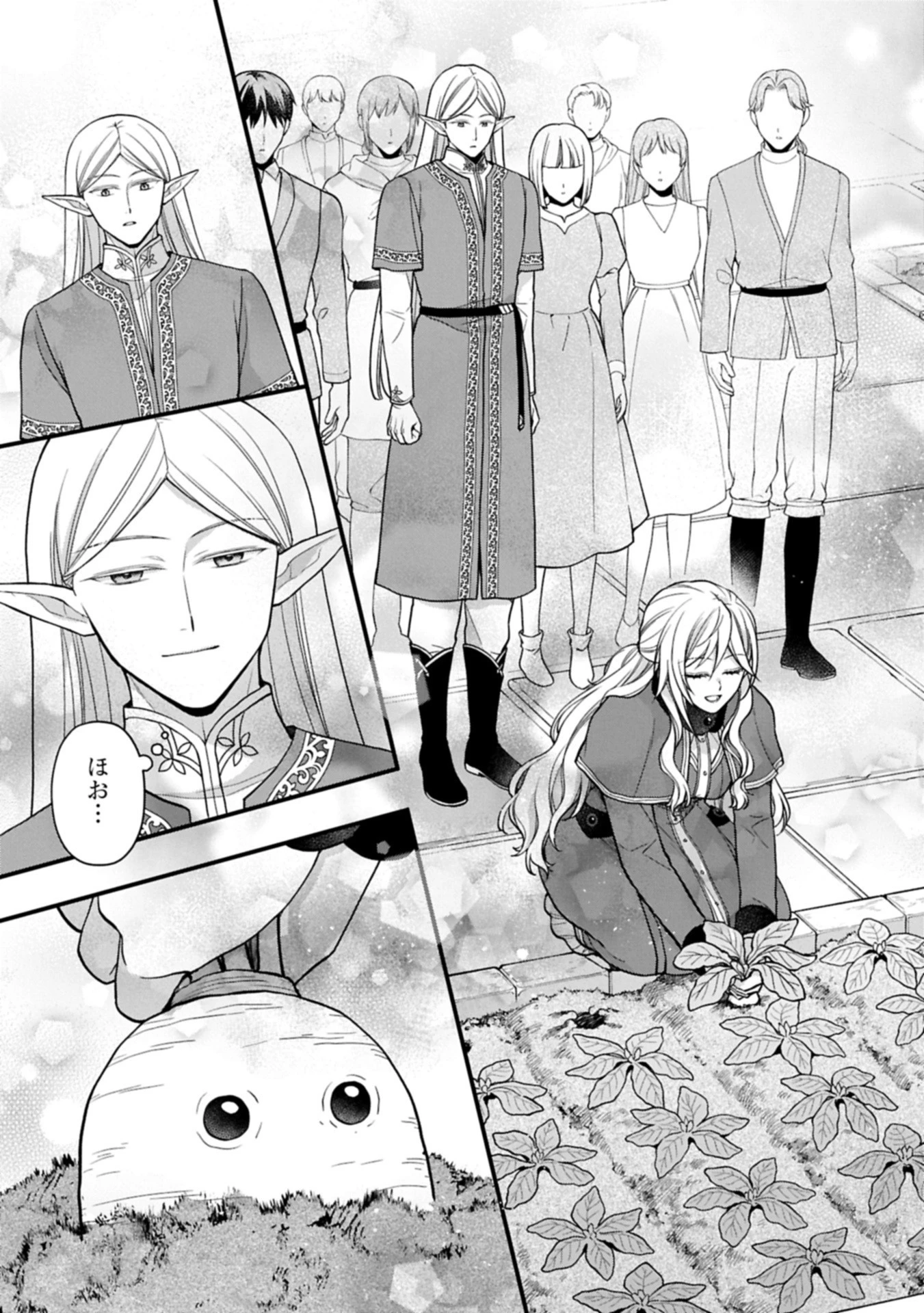 婚約解消のち、お引越し。セイラン・リゼルの気ままで優雅な生活。～才色兼備の転生令嬢は前世チートで自由を満喫します～ 第3.1話 - 13