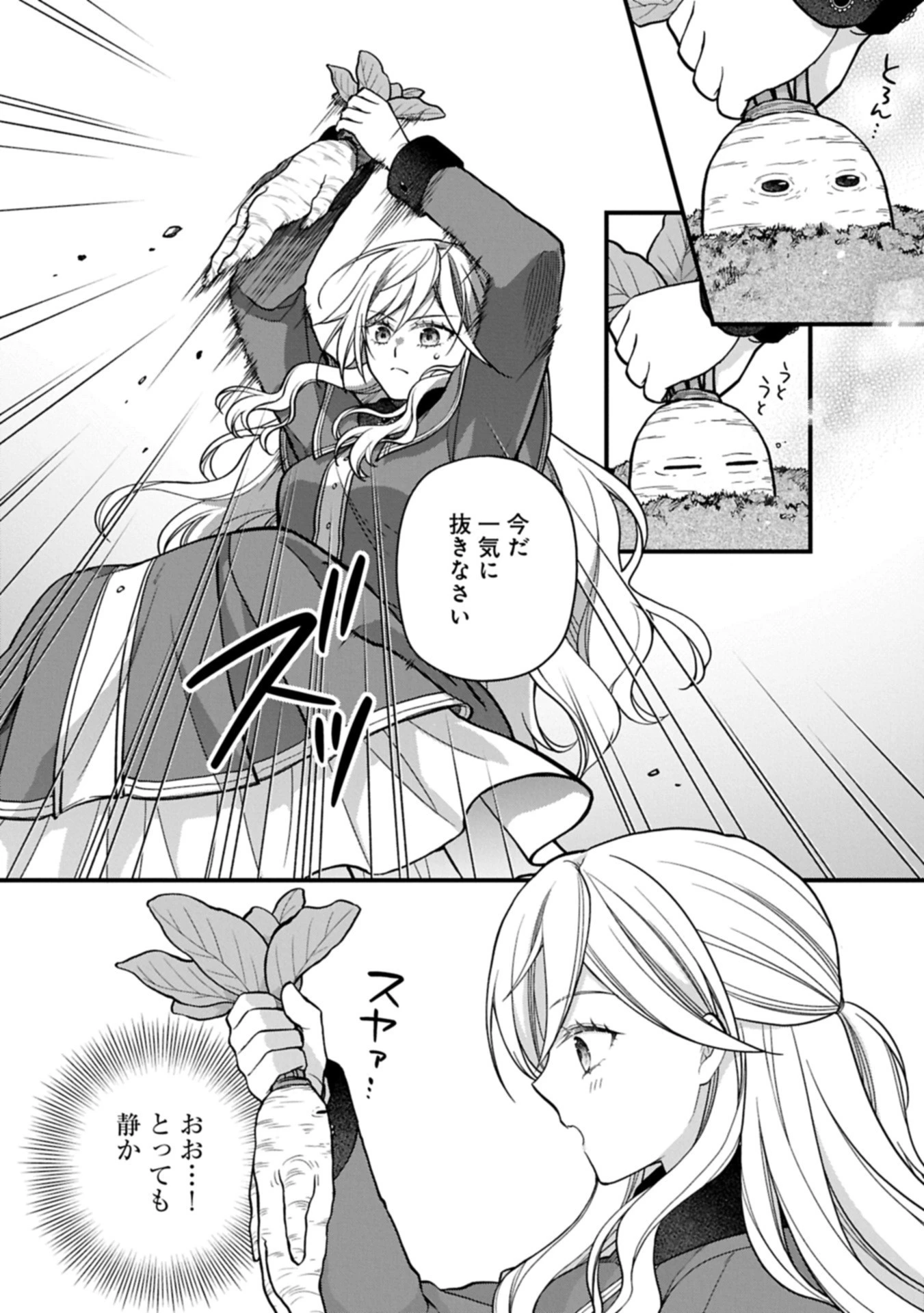 婚約解消のち、お引越し。セイラン・リゼルの気ままで優雅な生活。～才色兼備の転生令嬢は前世チートで自由を満喫します～ 第3.1話 - 14