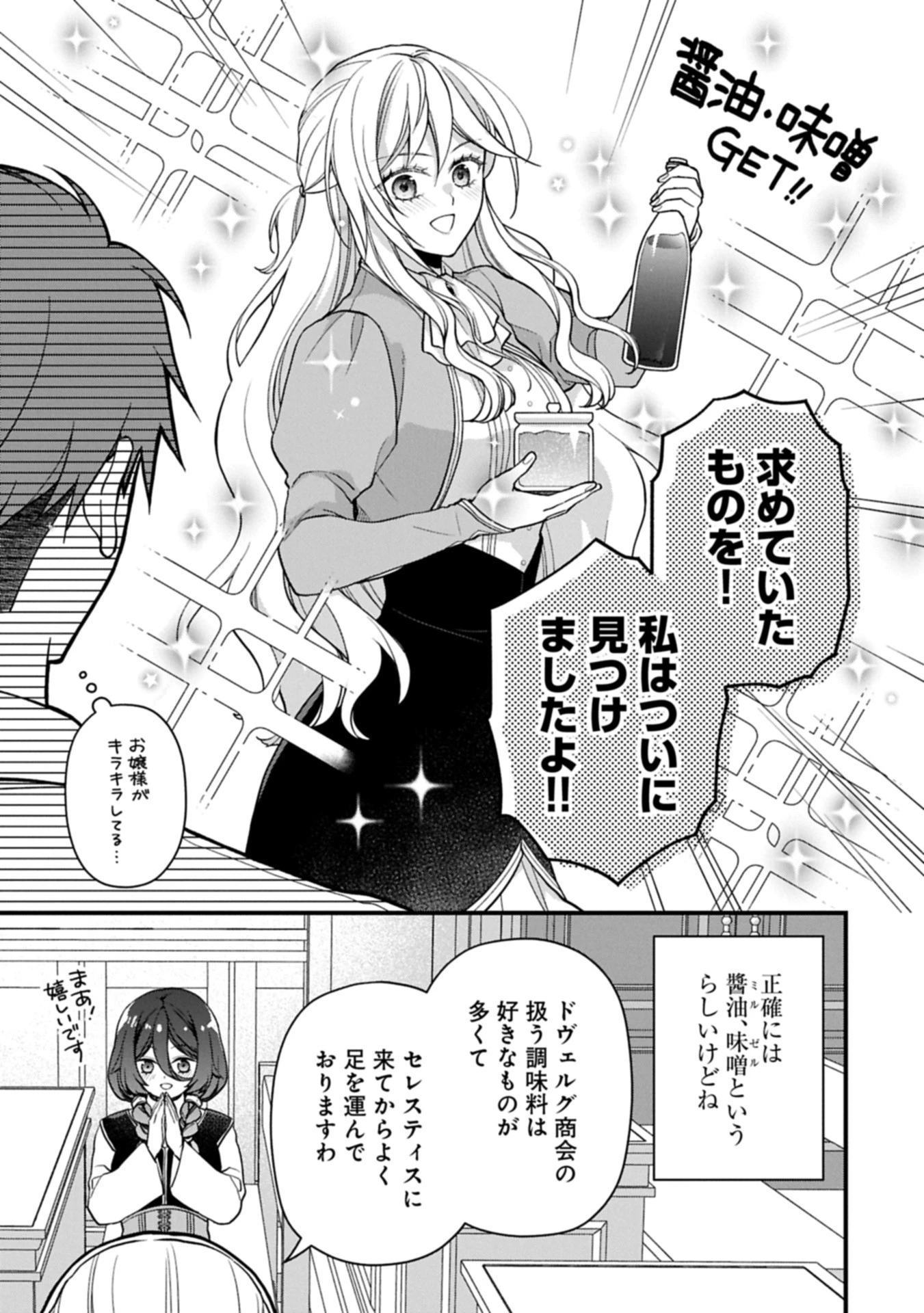 婚約解消のち、お引越し。セイラン・リゼルの気ままで優雅な生活。～才色兼備の転生令嬢は前世チートで自由を満喫します～ 第2.1話 - 9