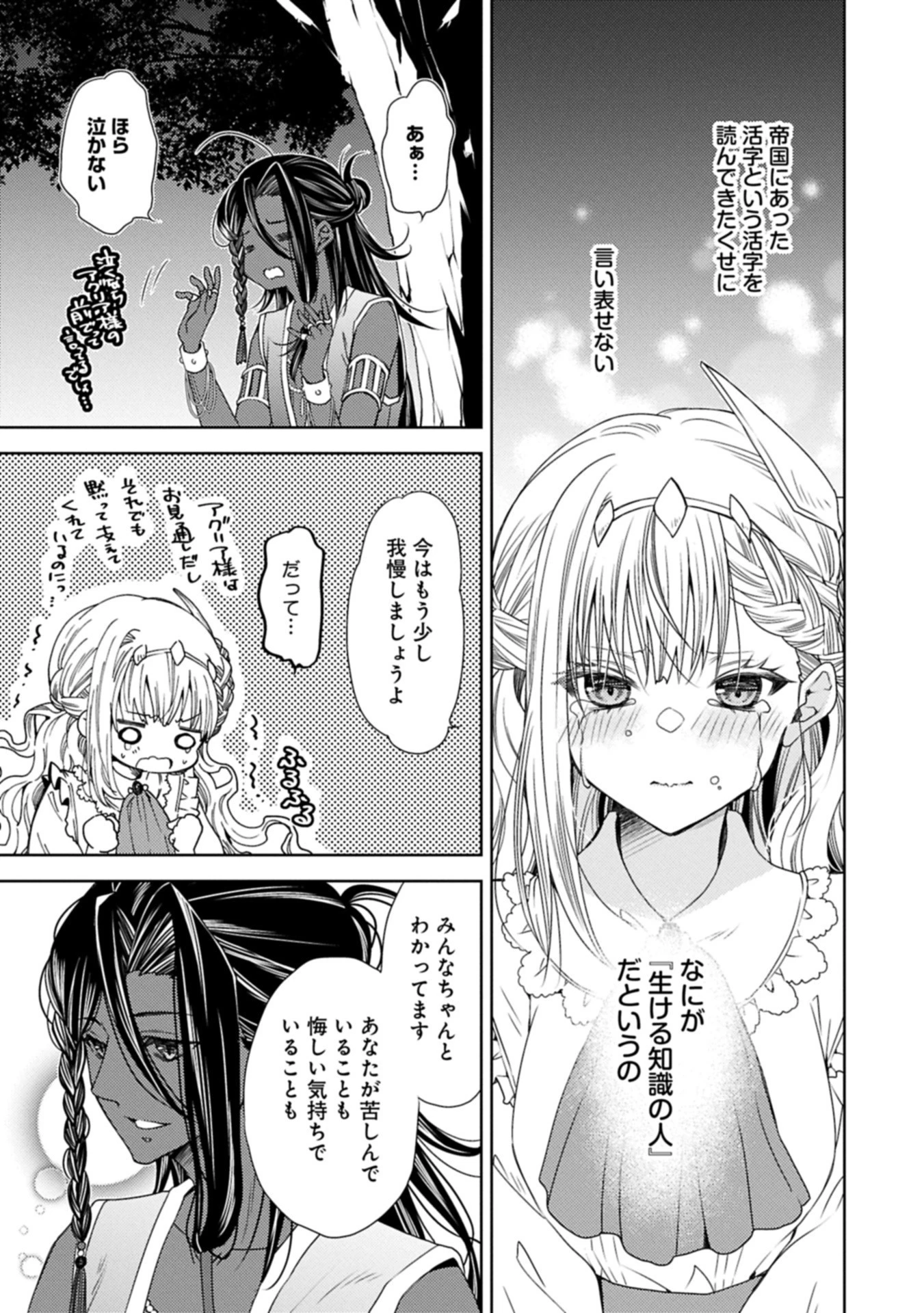 生贄第二皇女の困惑　～人質の姫君、敵国で知の才媛として大歓迎を受ける～ 第36.1話 - 11