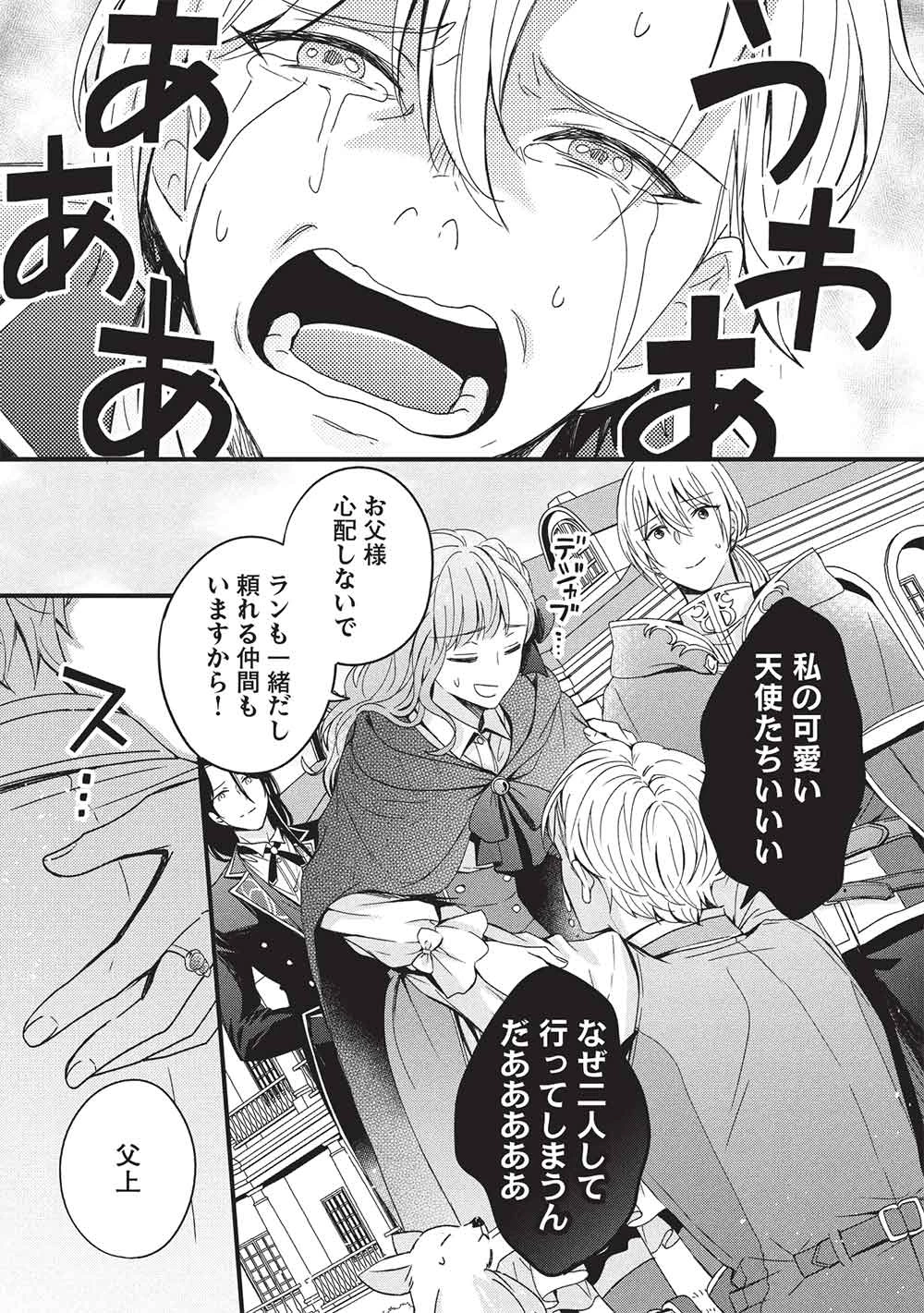 グランアヴェール～お守りの魔導師はラスボスお兄様を救いたい～ 第26話 - 15