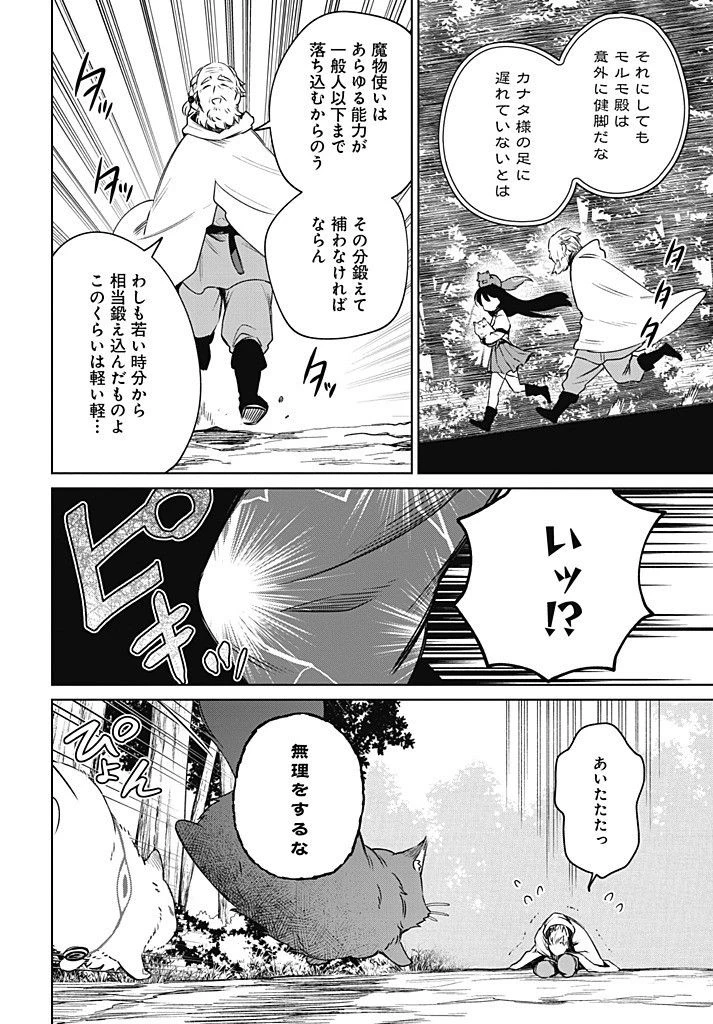 聖女さま？いいえ、通りすがりの魔物使いです！～絶対無敵の聖女はモフモフと旅をする～ 第12.2話 - 8