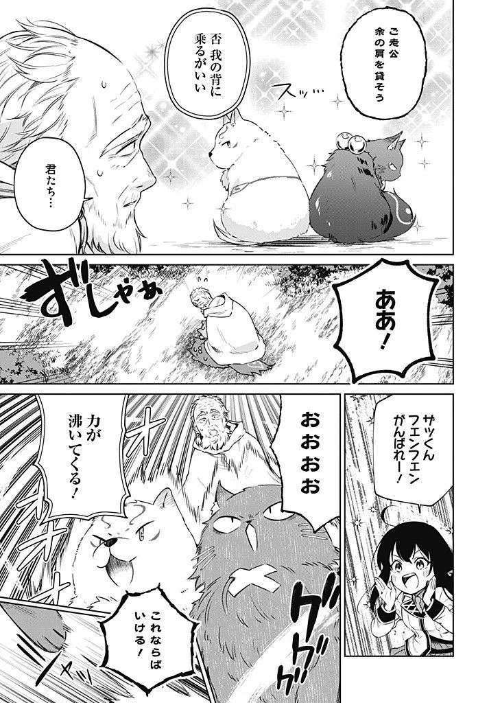 聖女さま？いいえ、通りすがりの魔物使いです！～絶対無敵の聖女はモフモフと旅をする～ 第12.2話 - 9