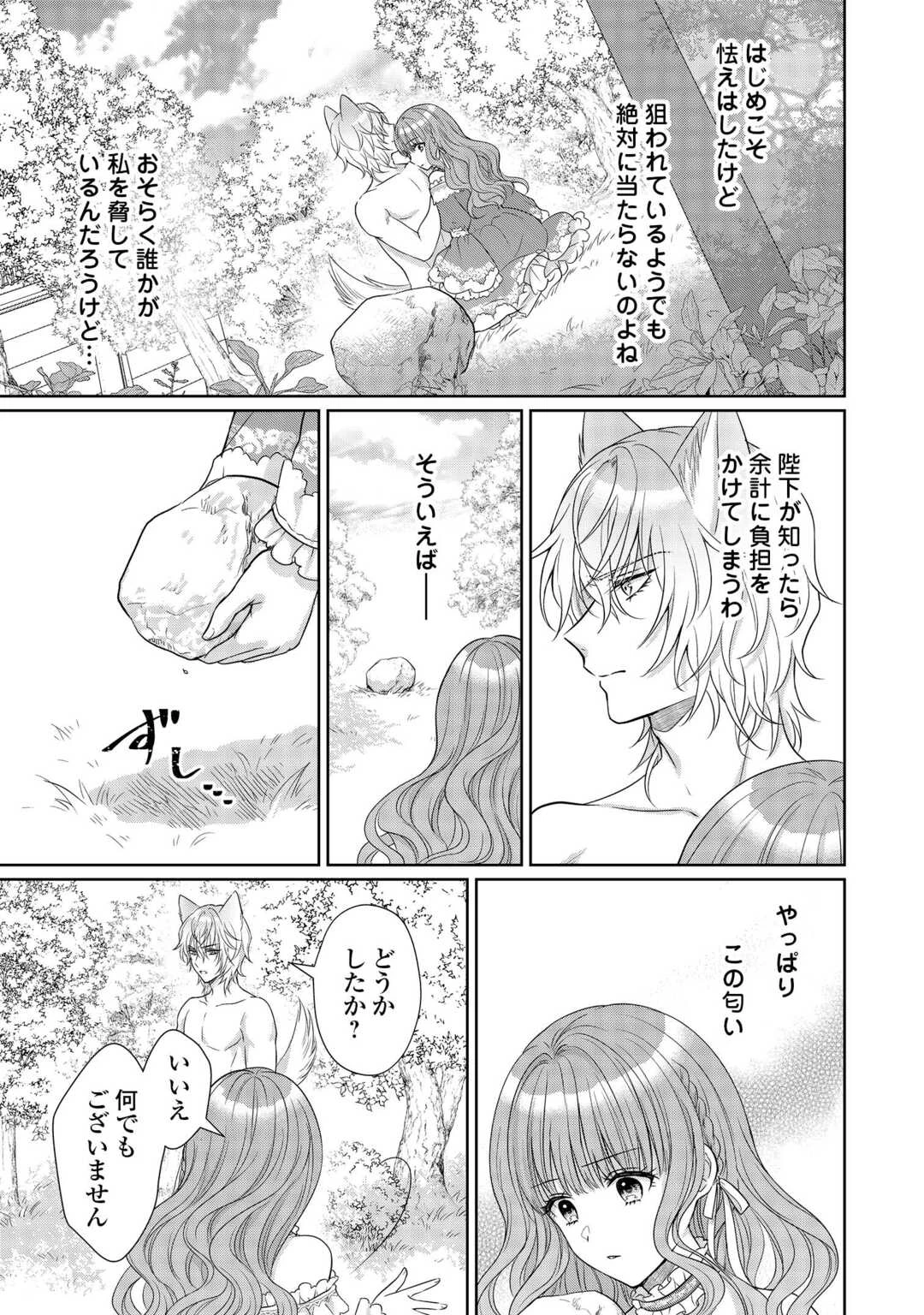 元仔狼の冷徹国王陛下に溺愛されて困っています! 第8話 - 5