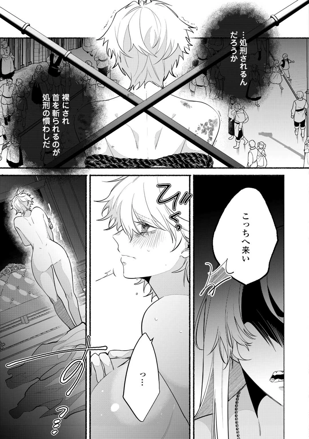 男装騎士は王太子のお気に入り 第10話 - 19