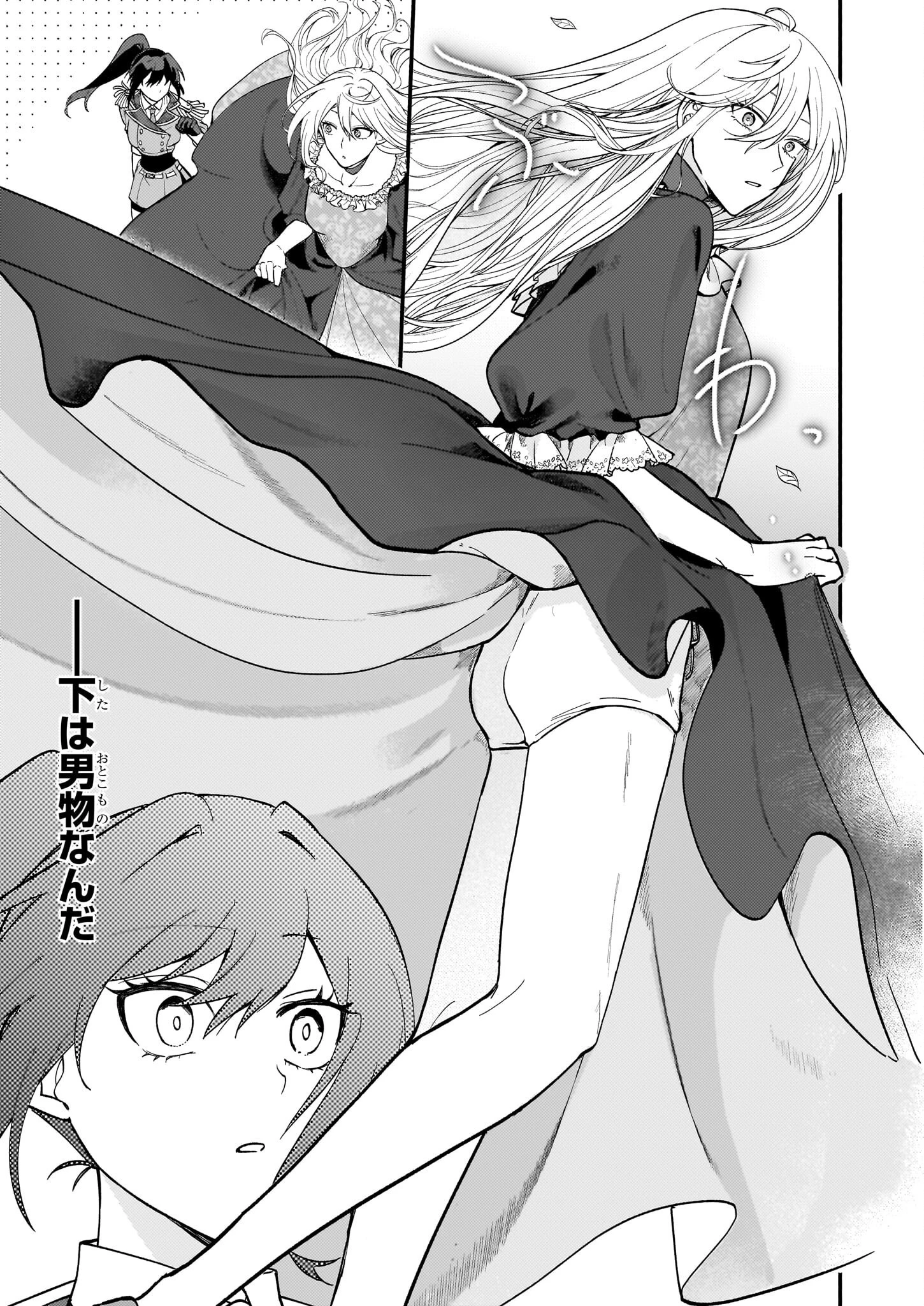 確かに私は、お嫁さんが欲しいと言いました。　～女装の王子様はお断り！～ 第1話 - 32