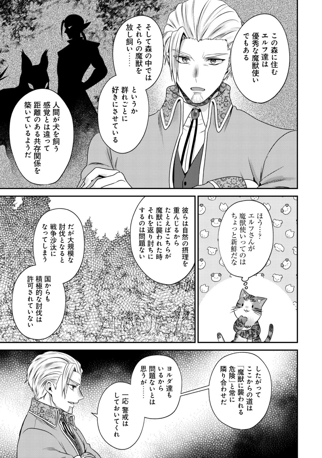 我輩は猫魔導師である～キジトラ・ルークの快適チート猫生活～ 第25話 - 25