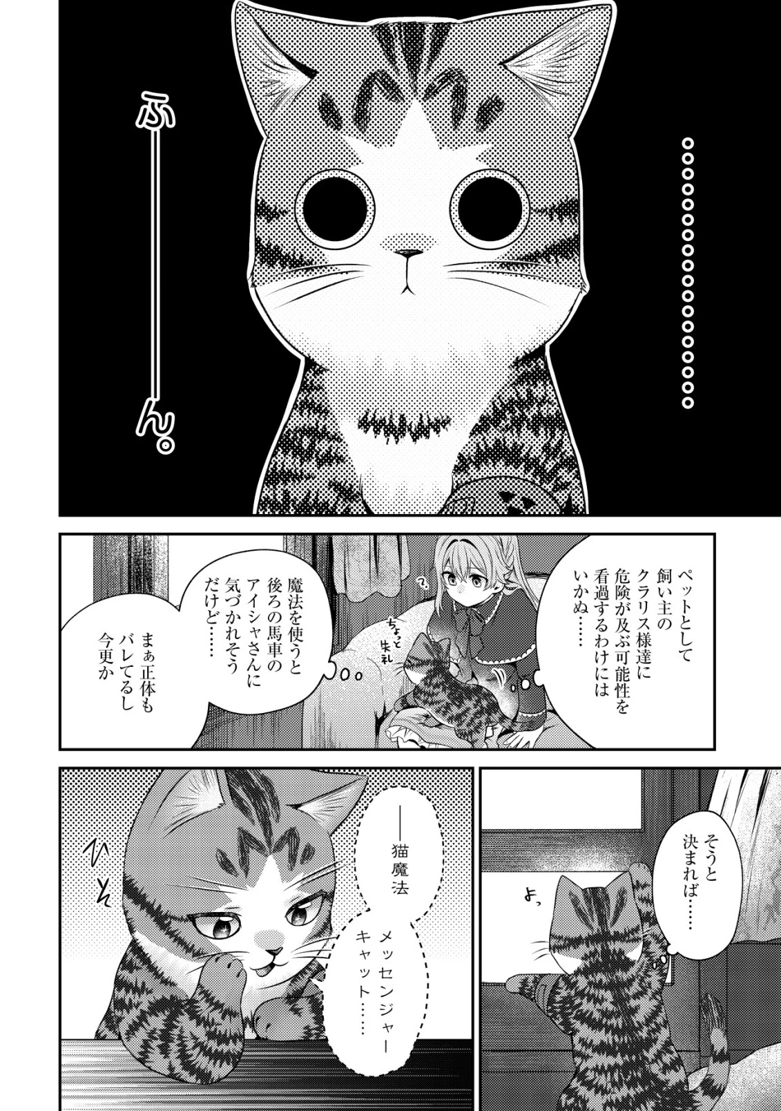 我輩は猫魔導師である～キジトラ・ルークの快適チート猫生活～ 第25話 - 26