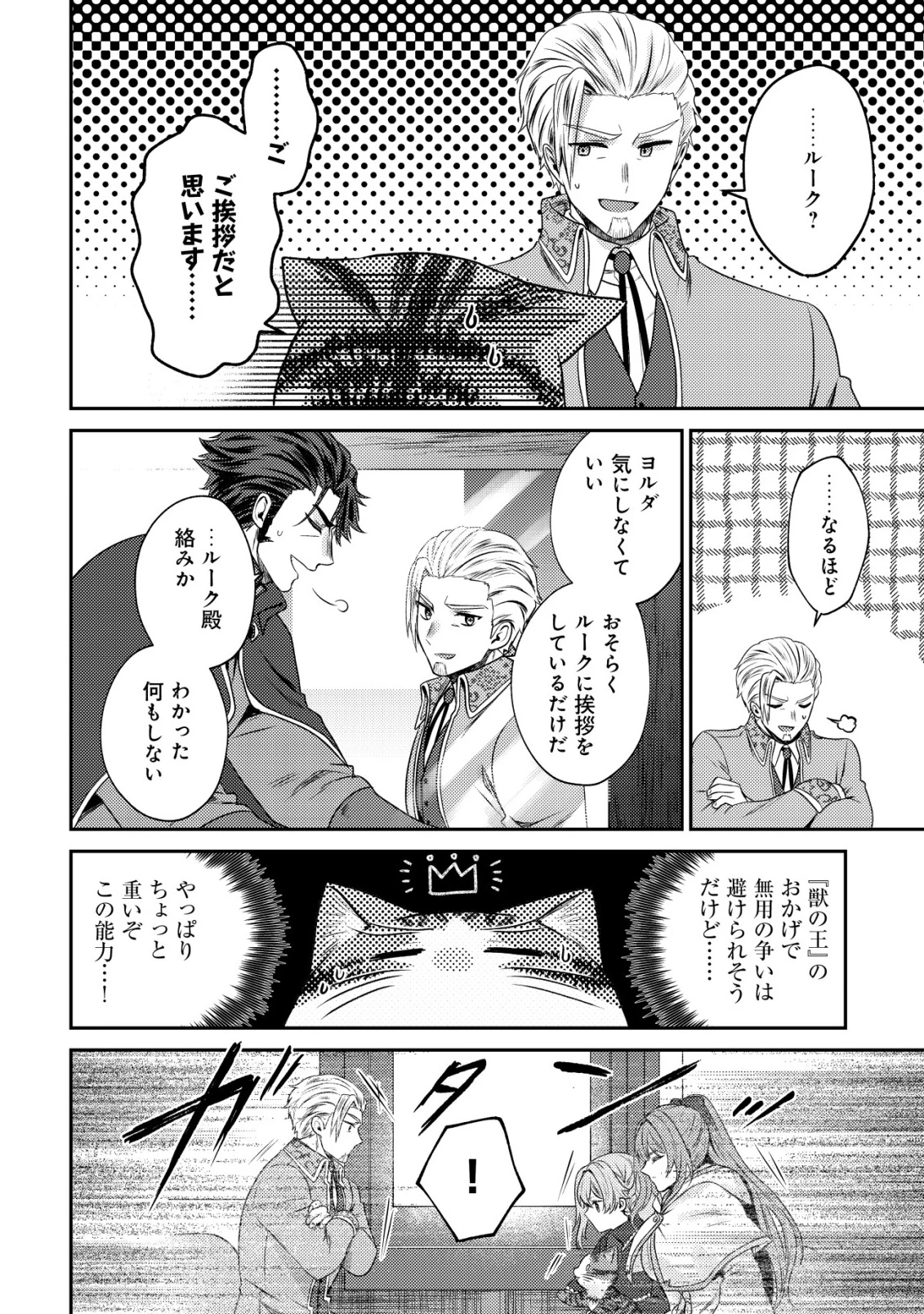 我輩は猫魔導師である～キジトラ・ルークの快適チート猫生活～ 第25話 - 30