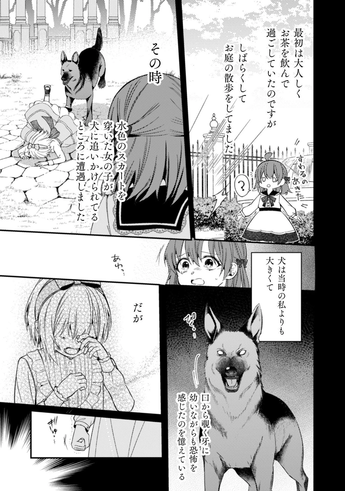 『理想の花嫁を探して幸せにして差し上げます』と言ったら、そっけなかった婚約者が何故か関わってきますが、花嫁斡旋頑張ります 第9話 - 22