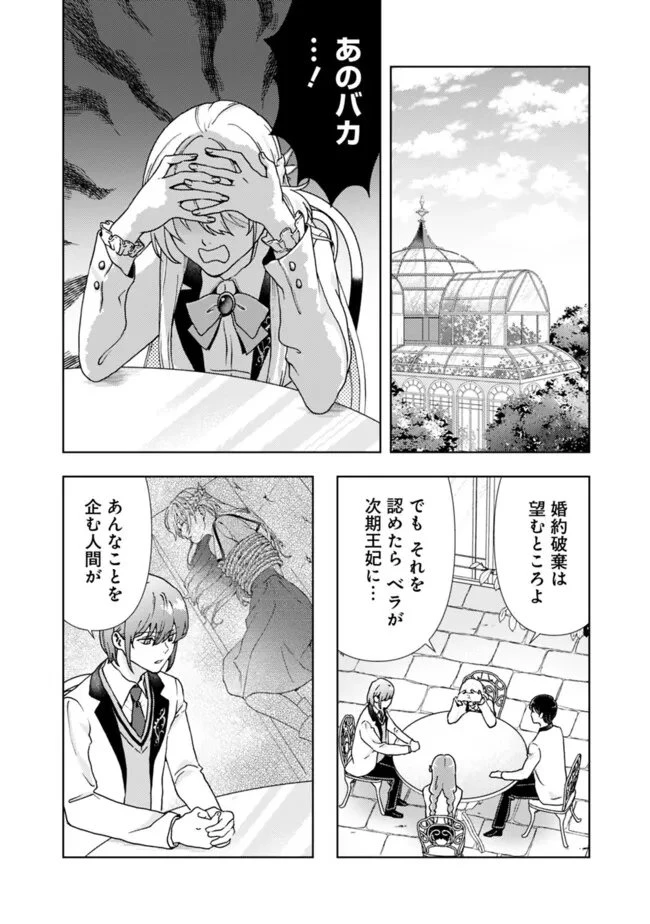 したたか令嬢は溺愛される 〜論破しますが、こんな私でも良いですか?〜 第18.1話 - 6