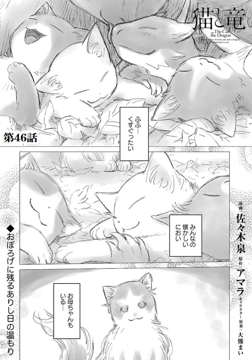 猫と竜 第46話 - 1