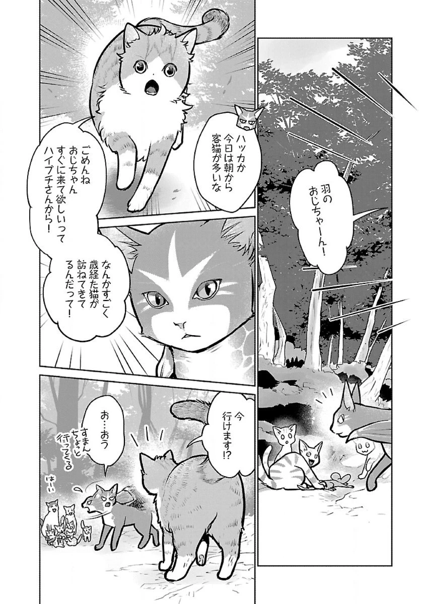 猫と竜 第46話 - 10
