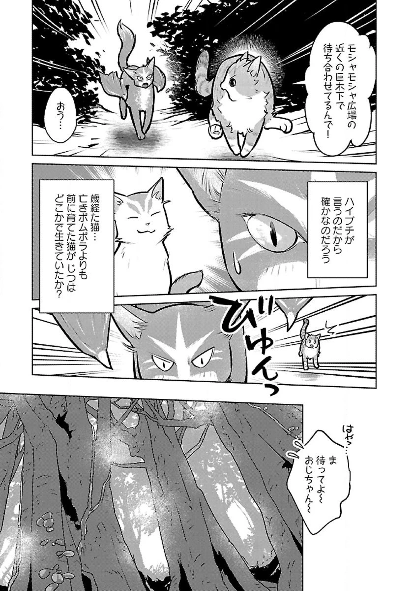 猫と竜 第46話 - 11