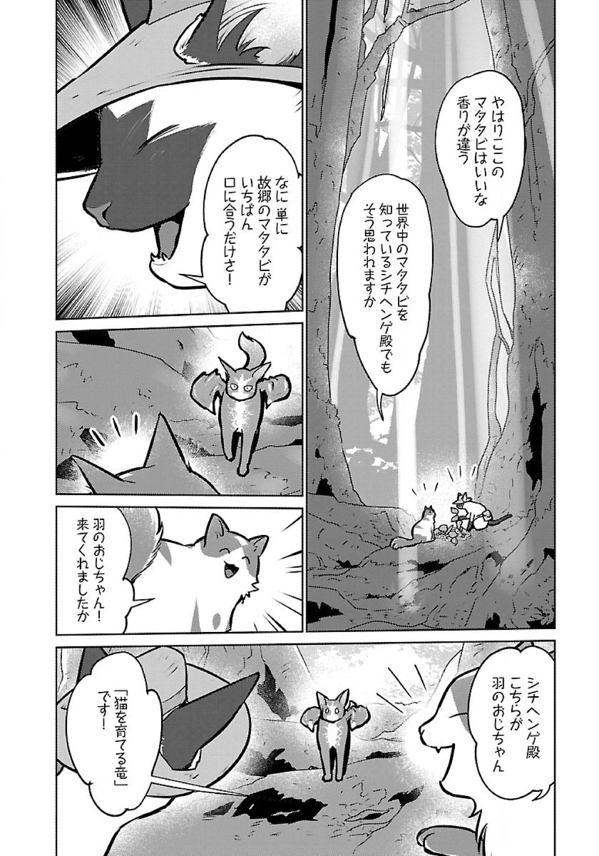 猫と竜 第46話 - 12