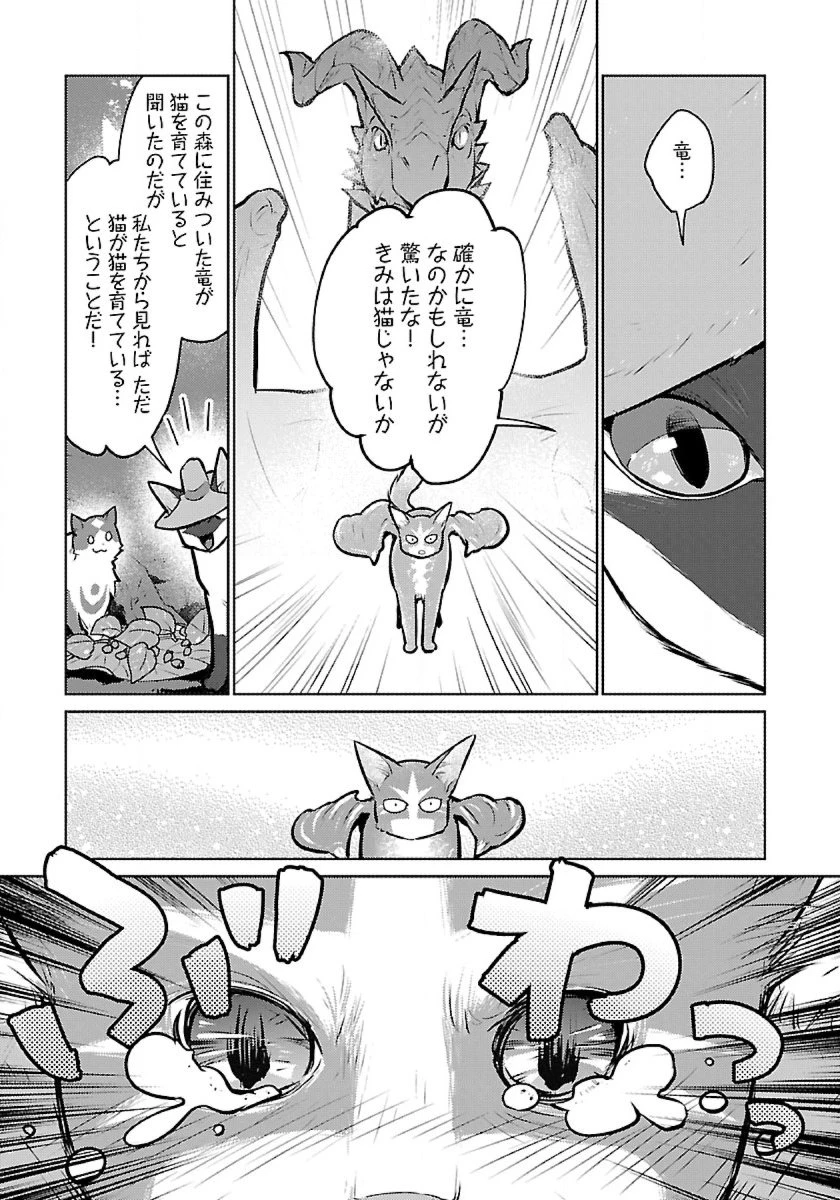 猫と竜 第46話 - 13