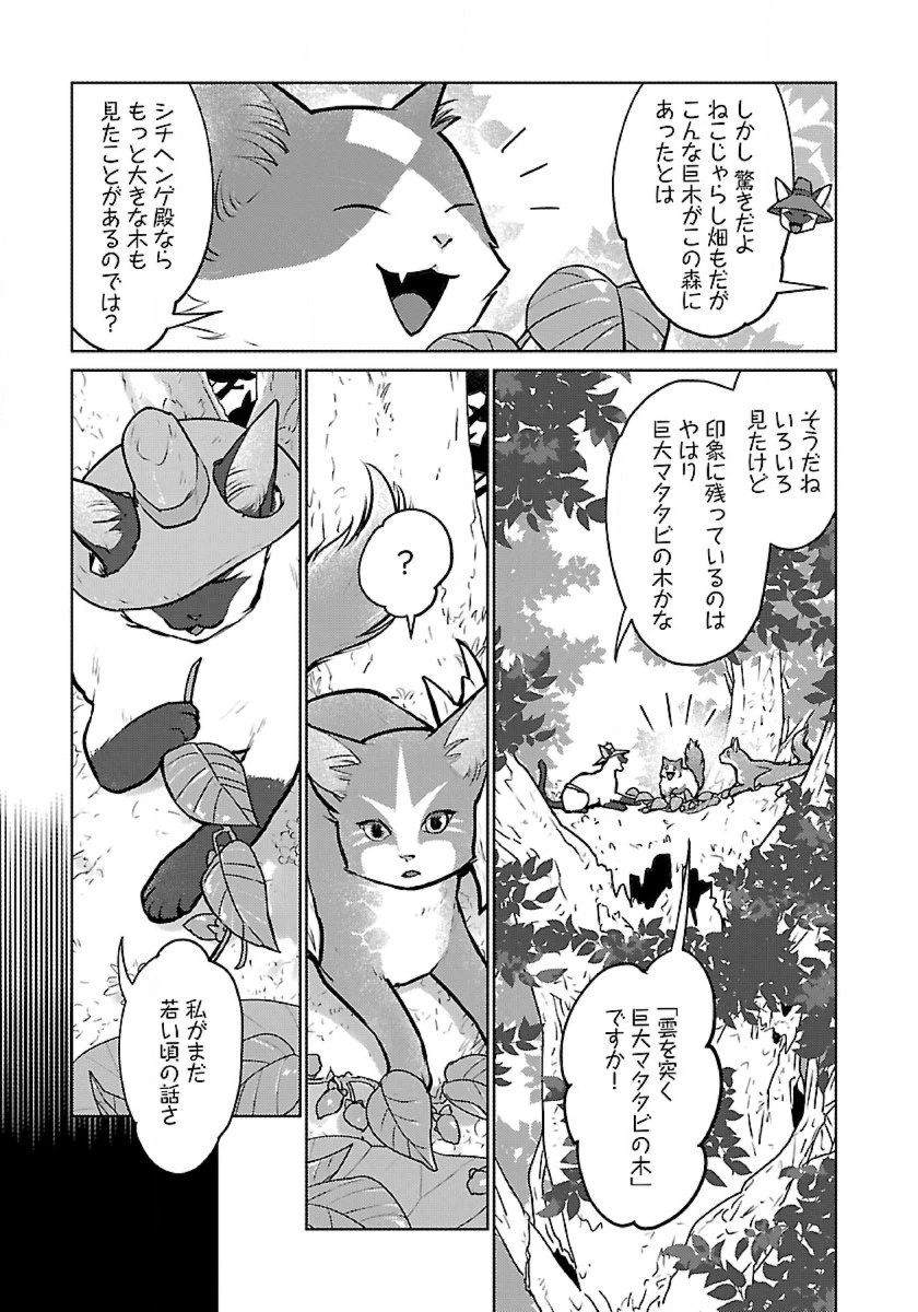 猫と竜 第46話 - 17