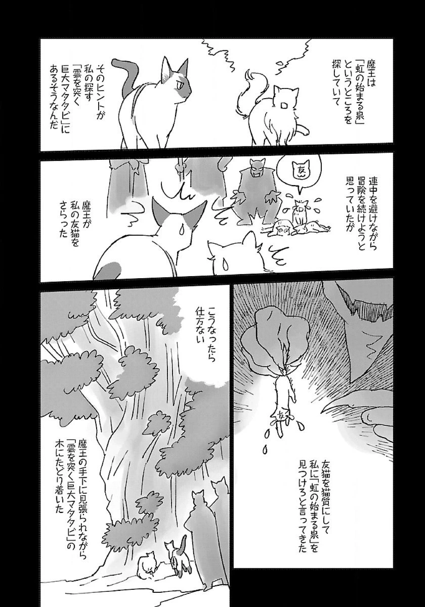 猫と竜 第46話 - 20