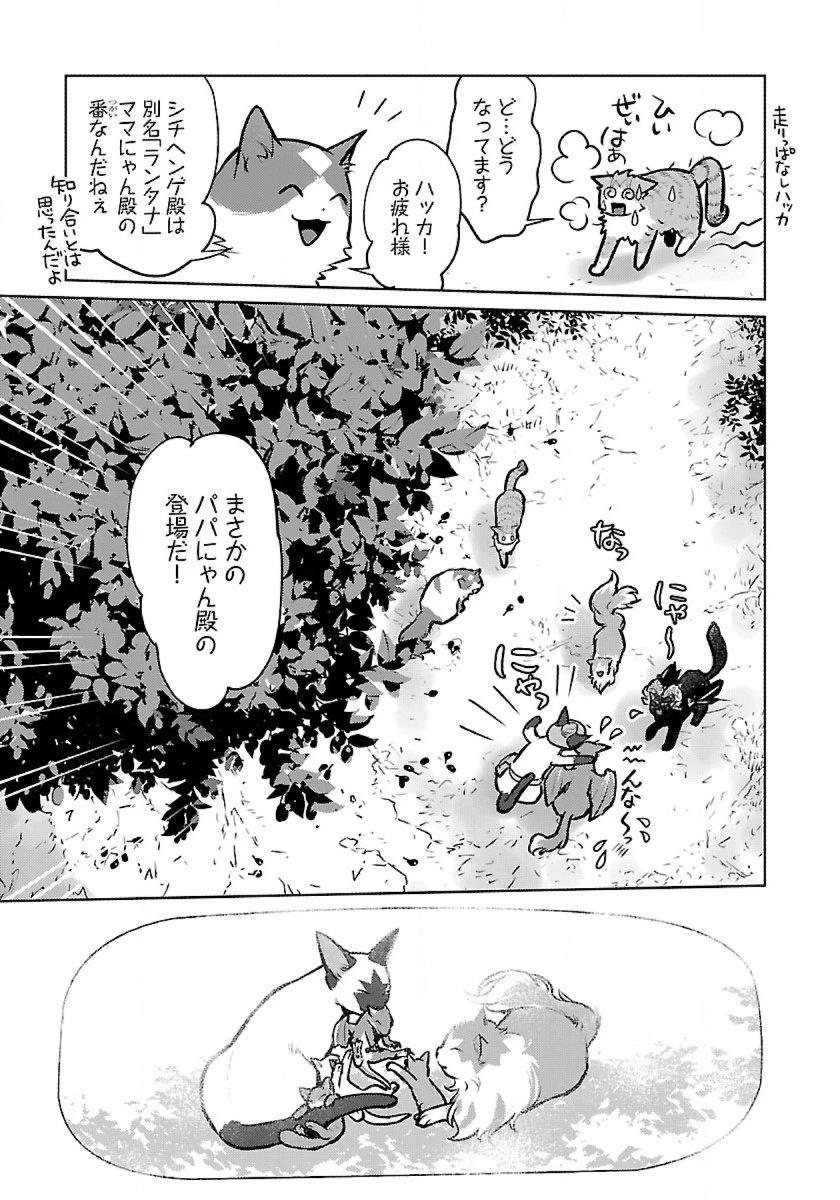 猫と竜 第46話 - 39