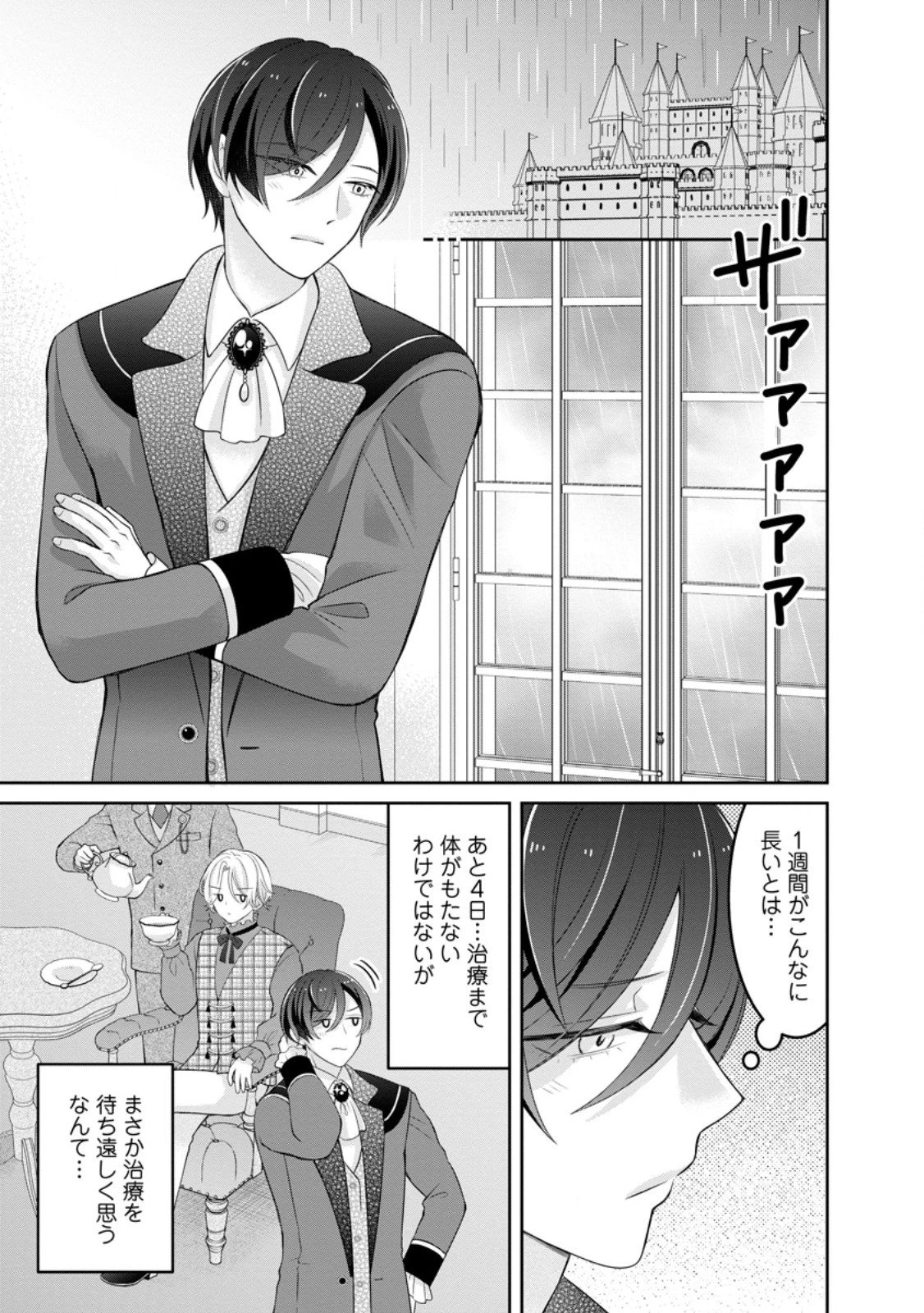 前世の記憶を取り戻したので最愛の夫と離縁します～悪女と評判でしたが天才治癒師として開花したら、なぜか聖女が自爆しました～ 第4.1話 - 3