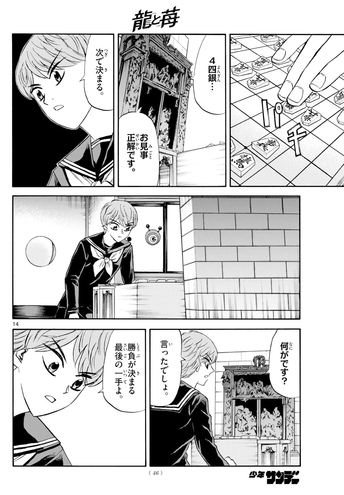 龍と苺 第255話 - 14