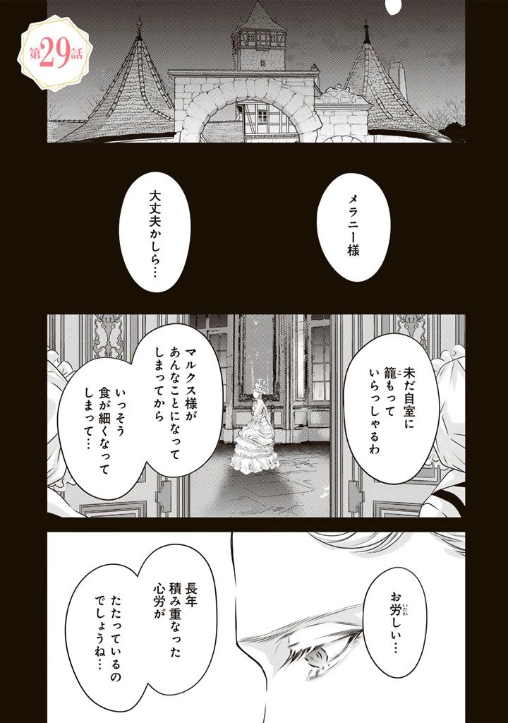 追放された騎士好き聖女は今日も幸せ 真の聖女らしい義妹をいじめたという罪で婚約破棄されたけど、憧れの騎士団の寮で働けることになりました！ 第29話 - 1
