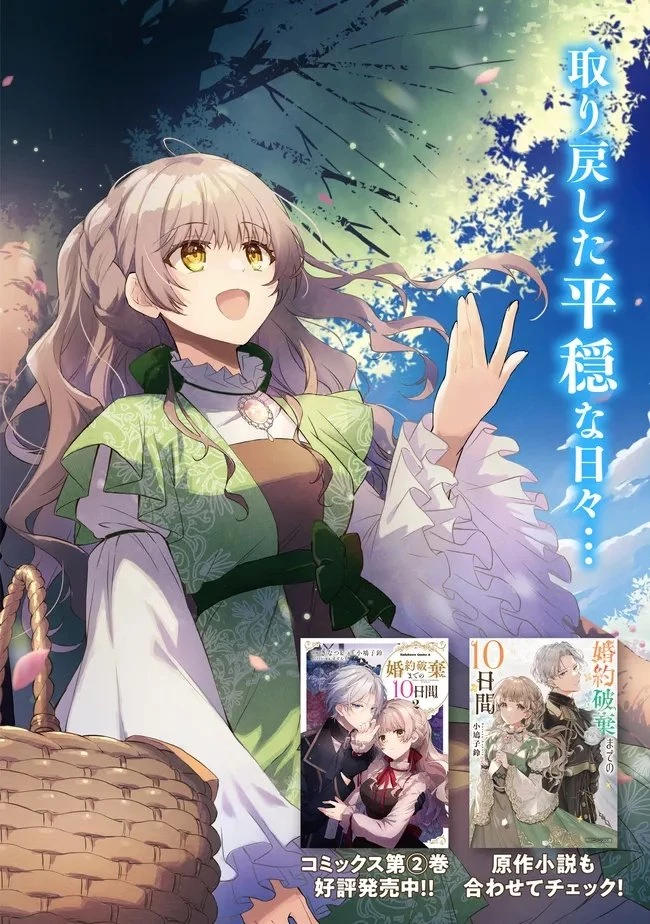 婚約破棄までの10日間 第11話 - 2