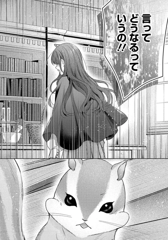 リスになってしまった婚約者が、毛嫌いしていたはずの私に助けを求めてきました。 第6.2話 - 9