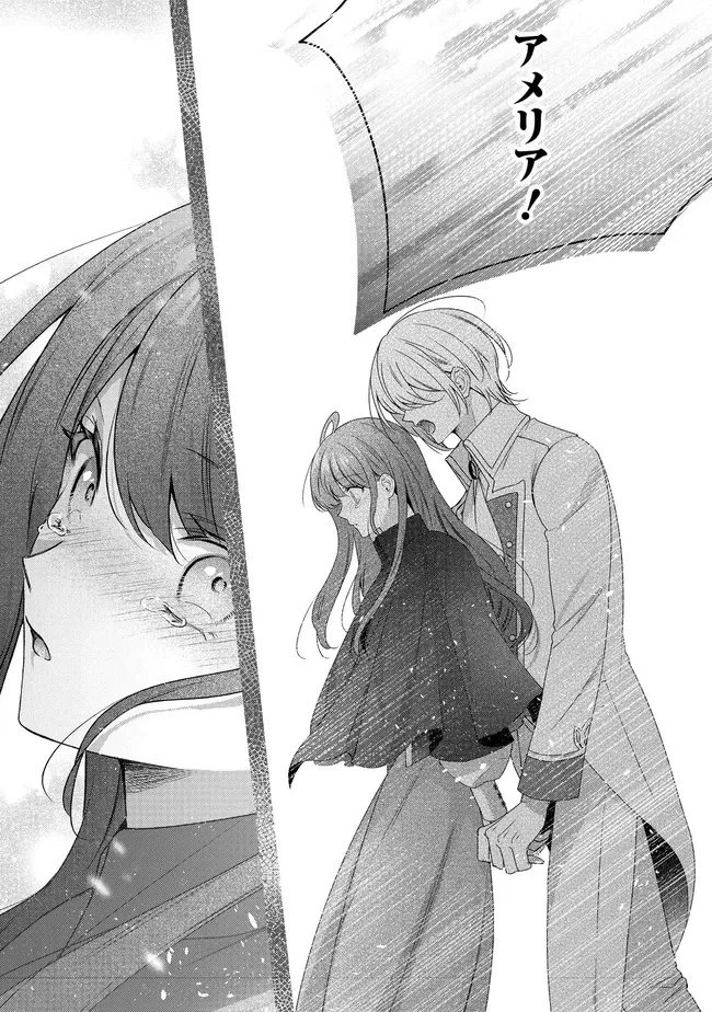 リスになってしまった婚約者が、毛嫌いしていたはずの私に助けを求めてきました。 第6.2話 - 19