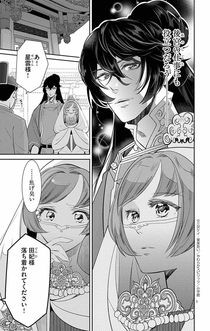 後宮の影公主～呪術師は謎を読む～ 第2話 - 5