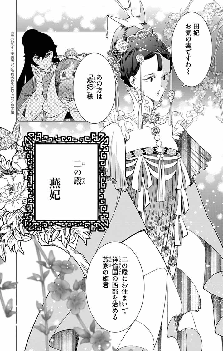後宮の影公主～呪術師は謎を読む～ 第2話 - 8
