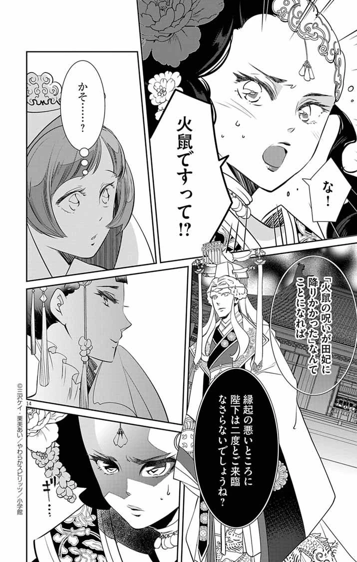 後宮の影公主～呪術師は謎を読む～ 第2話 - 14