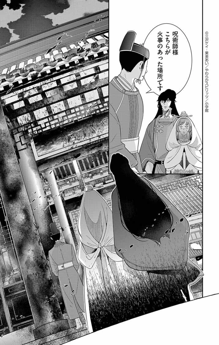 後宮の影公主～呪術師は謎を読む～ 第2話 - 17