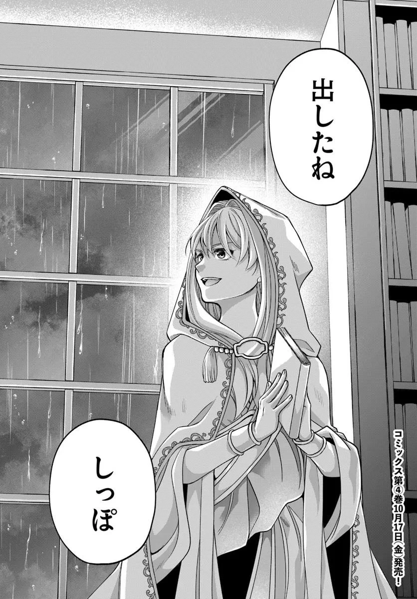 Shoutai wo Kakushite Yarinaosu 亜空の聖女 亜空の聖女 〜妹に濡れ衣を着せられた最強魔術師は、正体を隠してやり直す〜 第20.2話 - 20