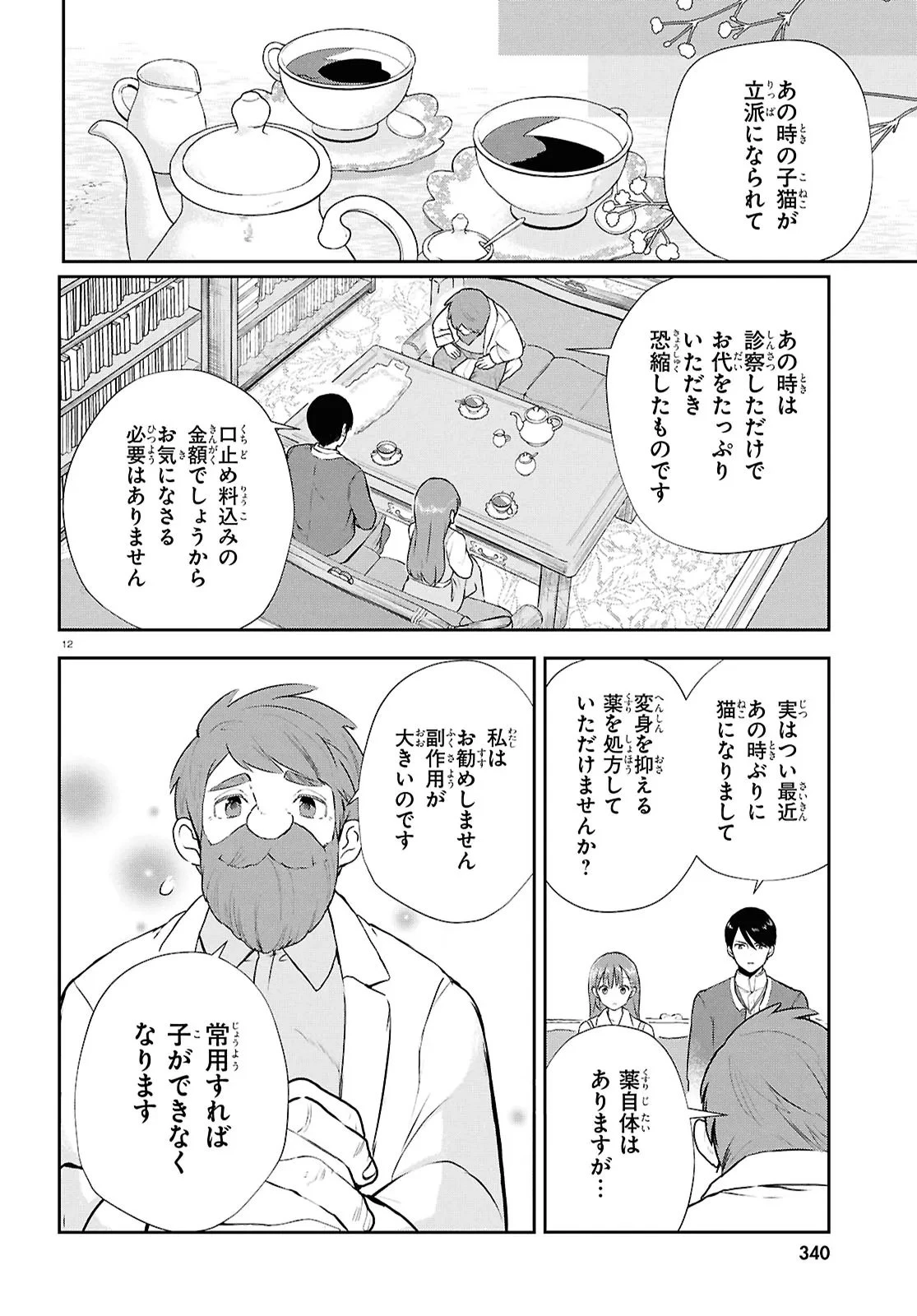 王都の行き止まりカフェ『隠れ家』 ～うっかり魔法使いになった私の店に筆頭文官様がくつろぎに来ます～ 第8.2話 - 12