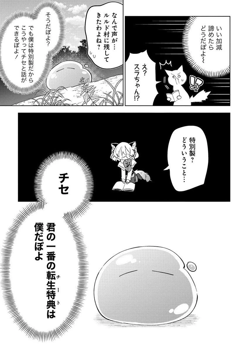 猫耳少女は森でスローライフを送りたい ～もふもふは所望しましたが、聖女とか王子様とかは注文外です～ 第16話 - 3