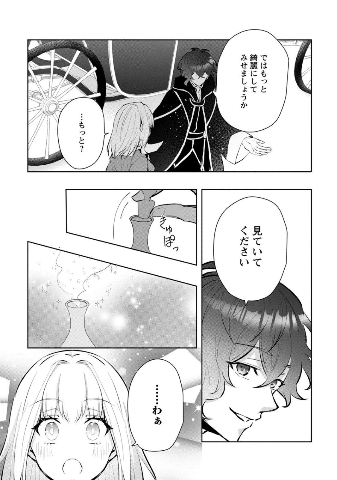 恋心に苦しむ王妃は、異国の薬師王太子に求愛される 第7.3話 - 4