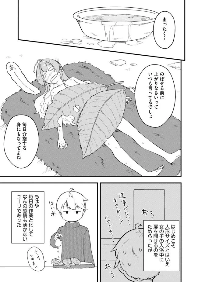 転生者は世間知らず～特典スキルでスローライフ!?～　コミック版 第10.1話 - 11